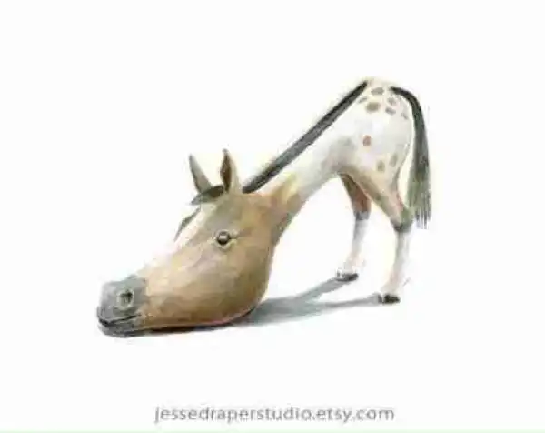 Ladies, Will You Rock These Shoes? (Photos)